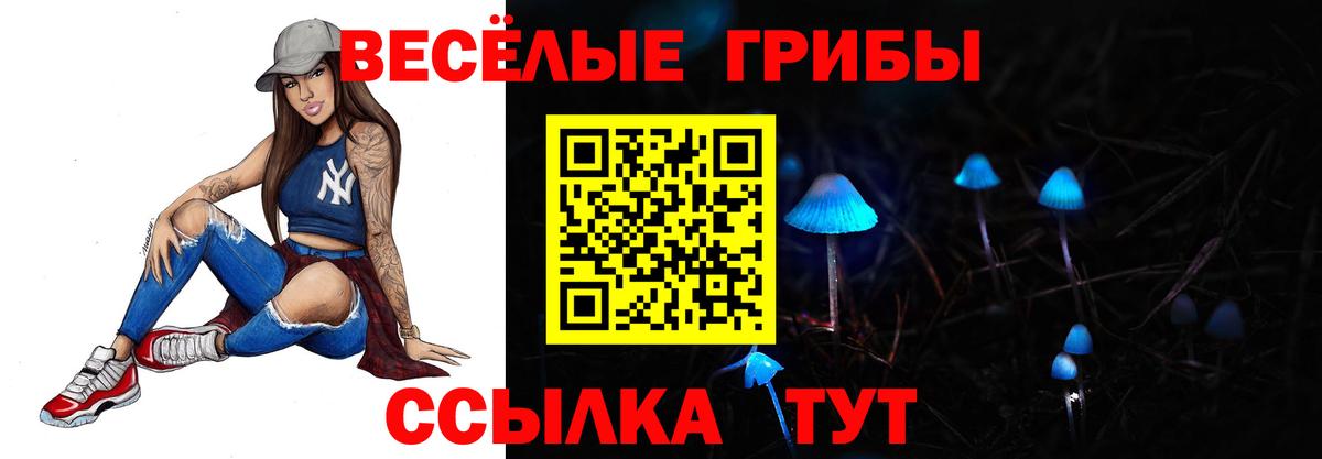 Галлюциногенные грибы мицелий  Вход с VPN  Чита 